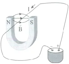 Direction of magnetic force on a wire inside B